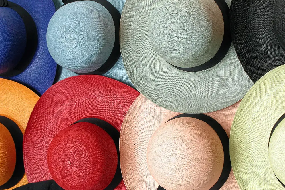 chapeaux-panama-presentation